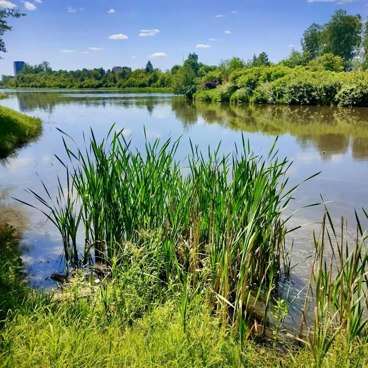 Apartamenty Kielce- Apartament Saphire Przy Zalew Kielecki, Faktura, Parking, Centrum 외부 사진